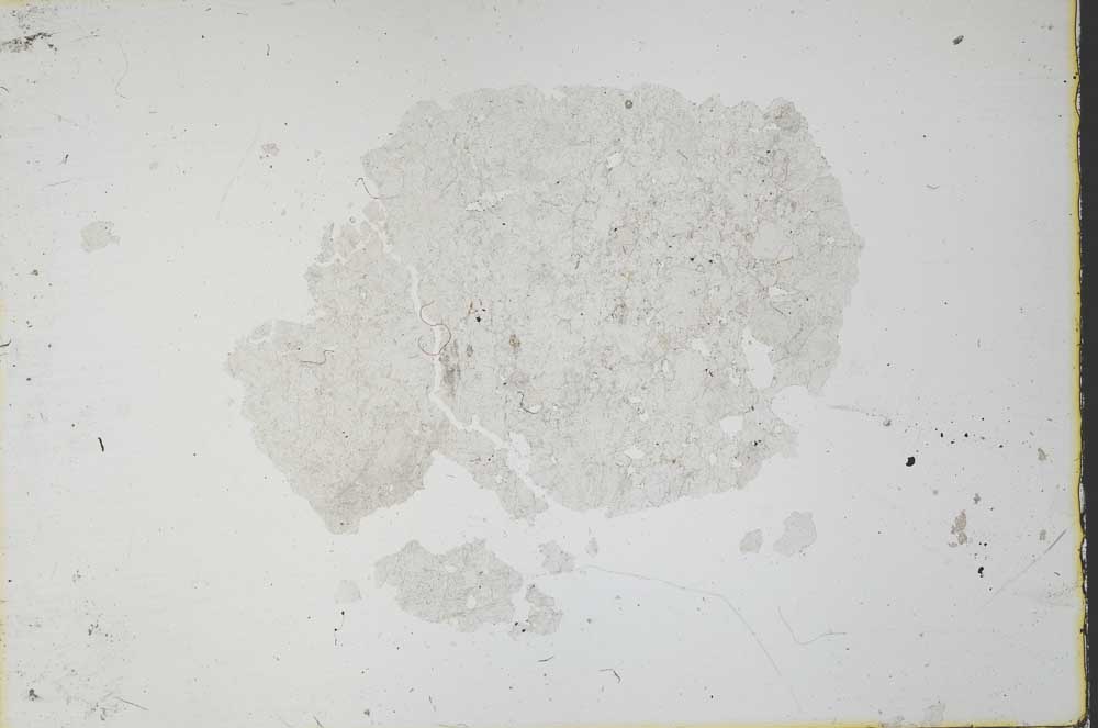 Plane Polarized, S35458