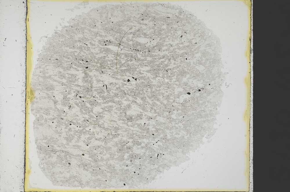 Plane Polarized, S35487