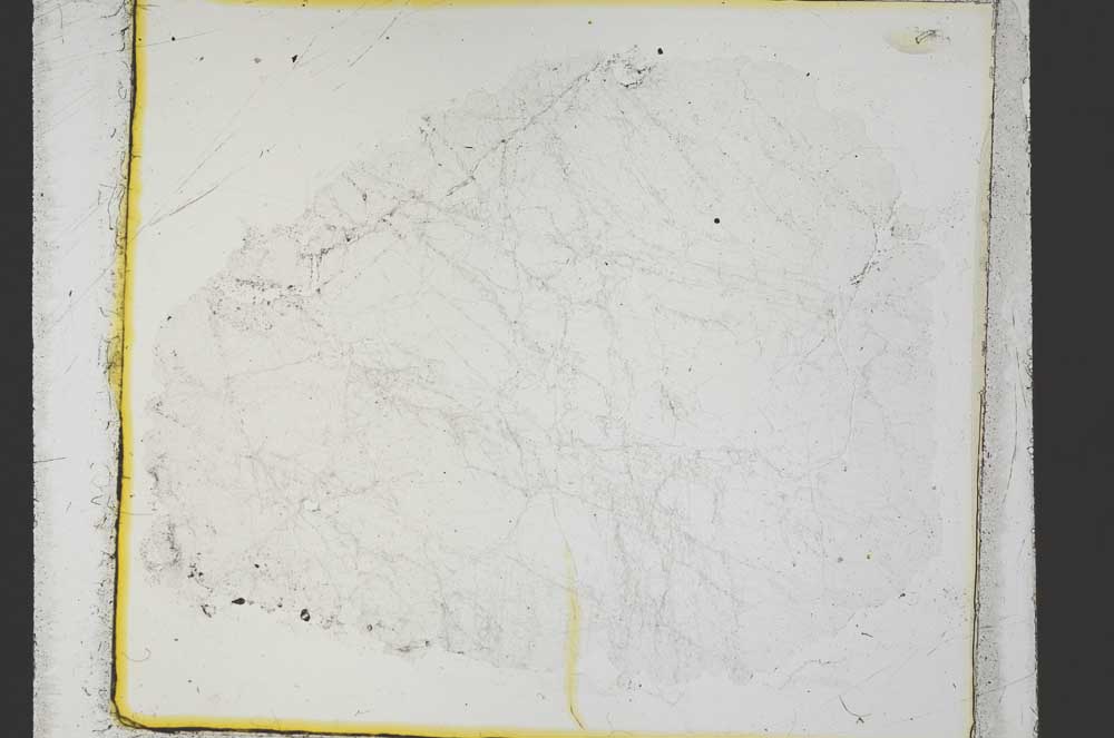 Plane Polarized, S35511