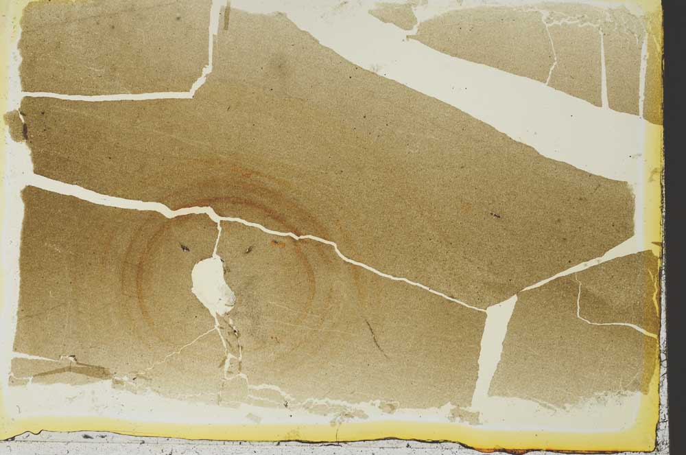 Plane Polarized, S35512