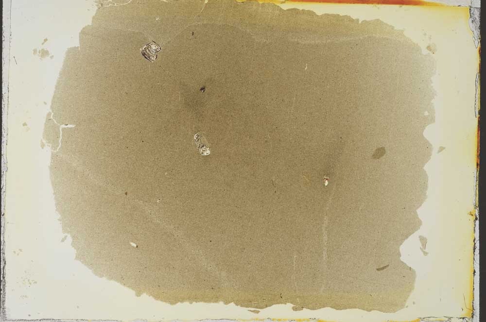 Plane Polarized, S35512/A