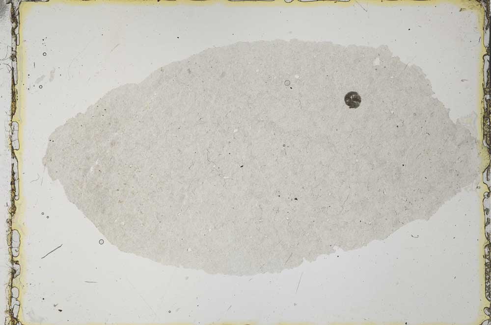 Plane Polarized, S35513