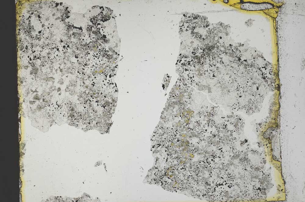 Plane Polarized, S35541