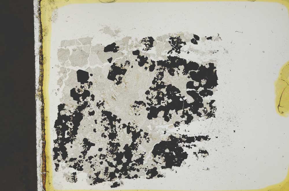 Plane Polarized, S35545