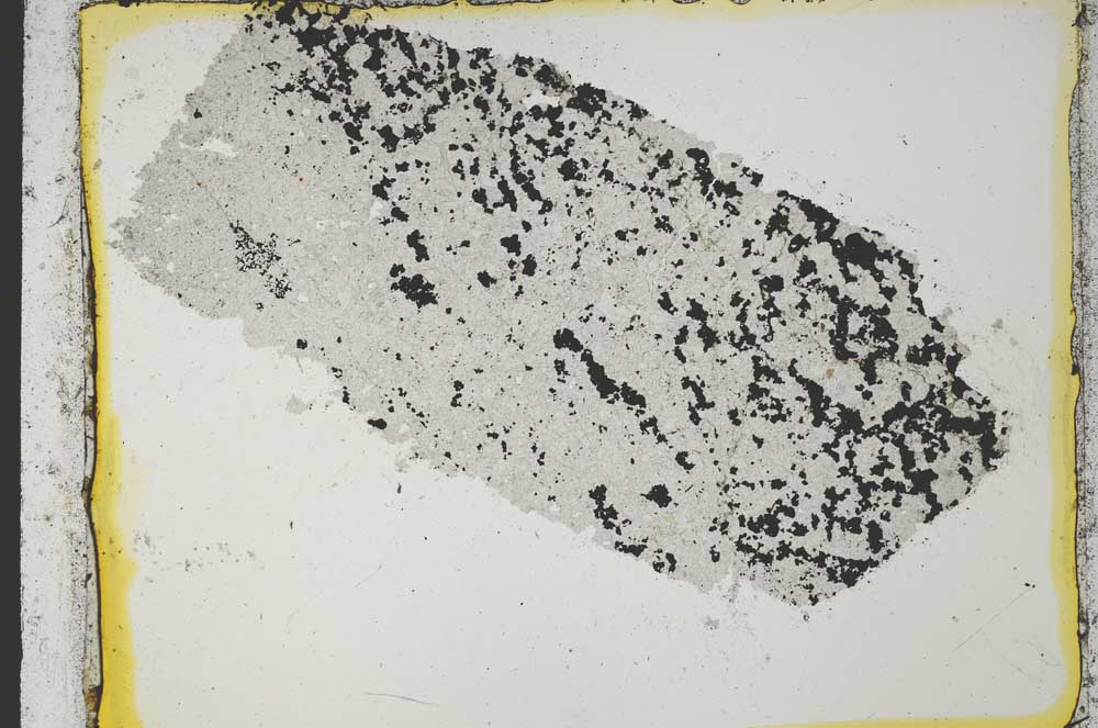 Plane Polarized, S35549