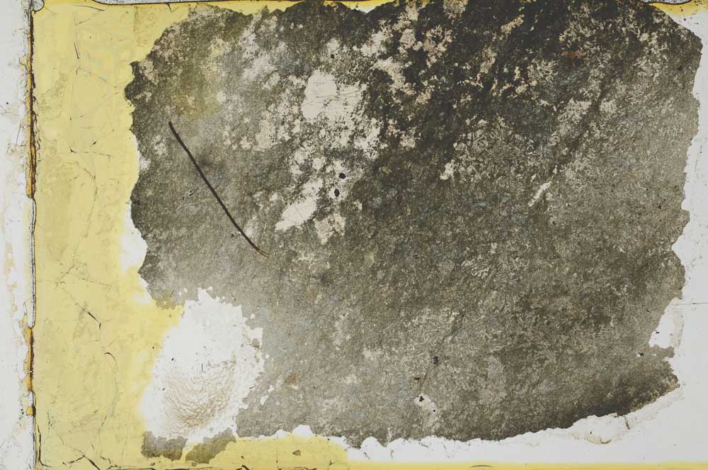 Plane Polarized, S35566