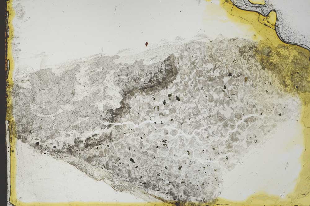 Plane Polarized, S35576
