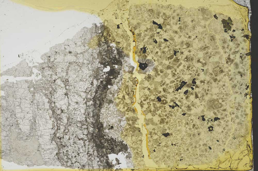 Plane Polarized, S35577