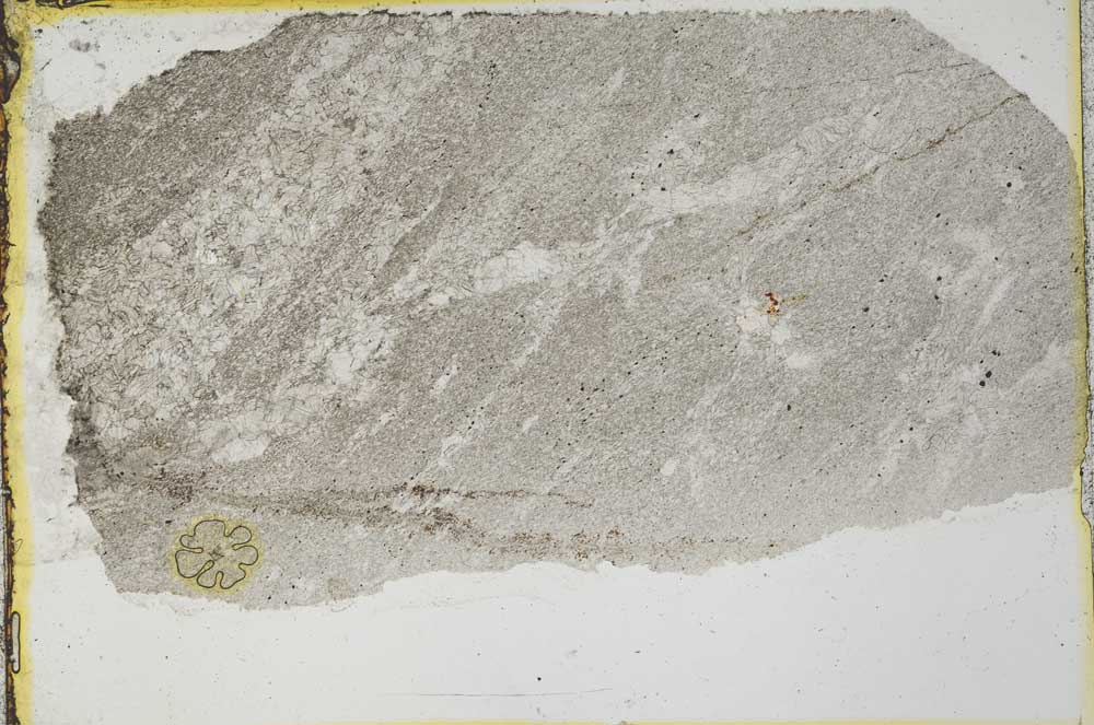 Plane Polarized, S35579