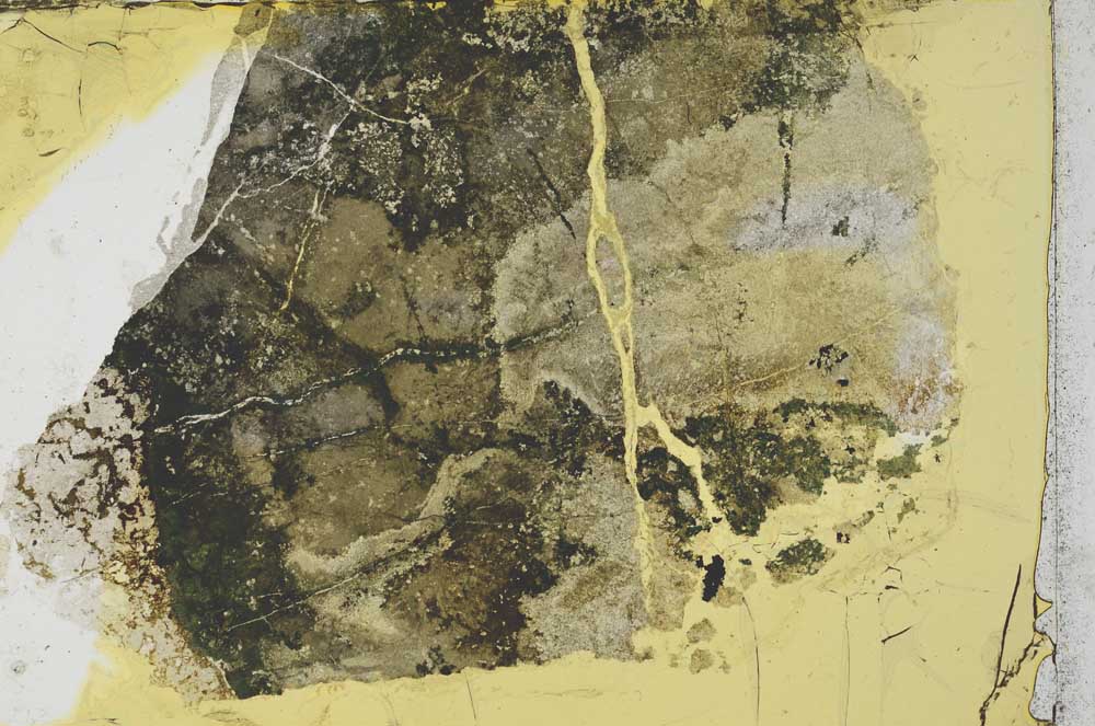 Plane Polarized, S35582