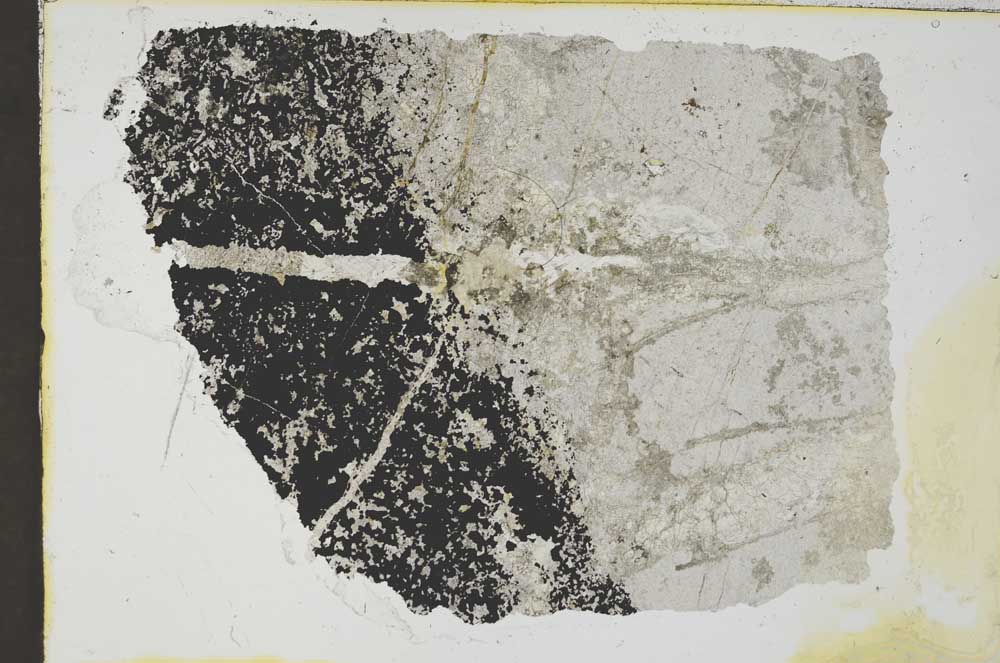 Plane Polarized, S35612