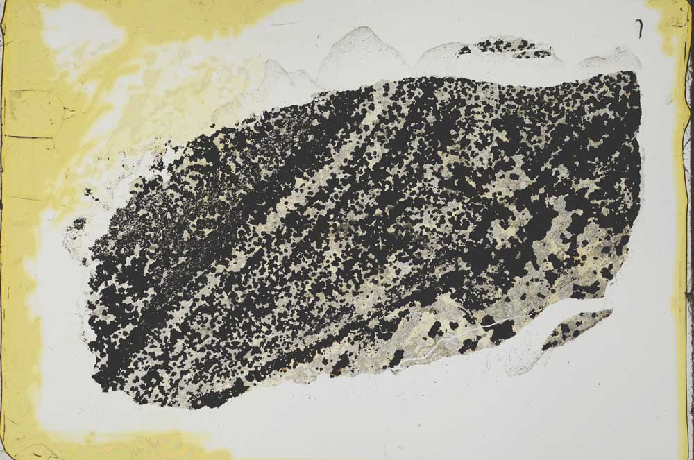 Plane Polarized, S35615