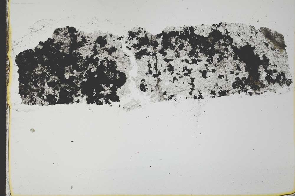 Plane Polarized, S35628