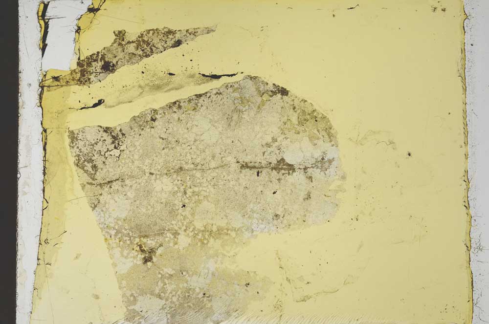 Plane Polarized, S35643