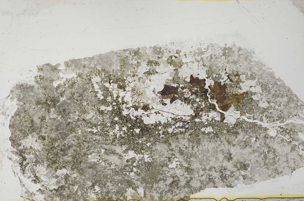 Plane Polarized, S35648