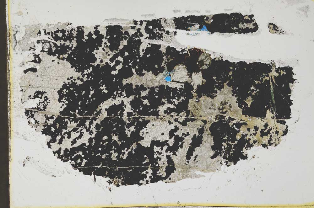Plane Polarized, S35651