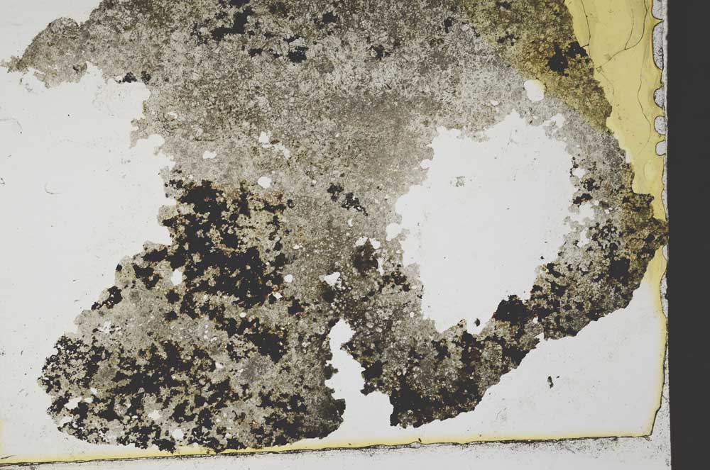 Plane Polarized, S35662