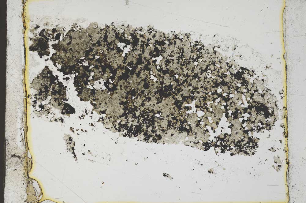 Plane Polarized, S35663