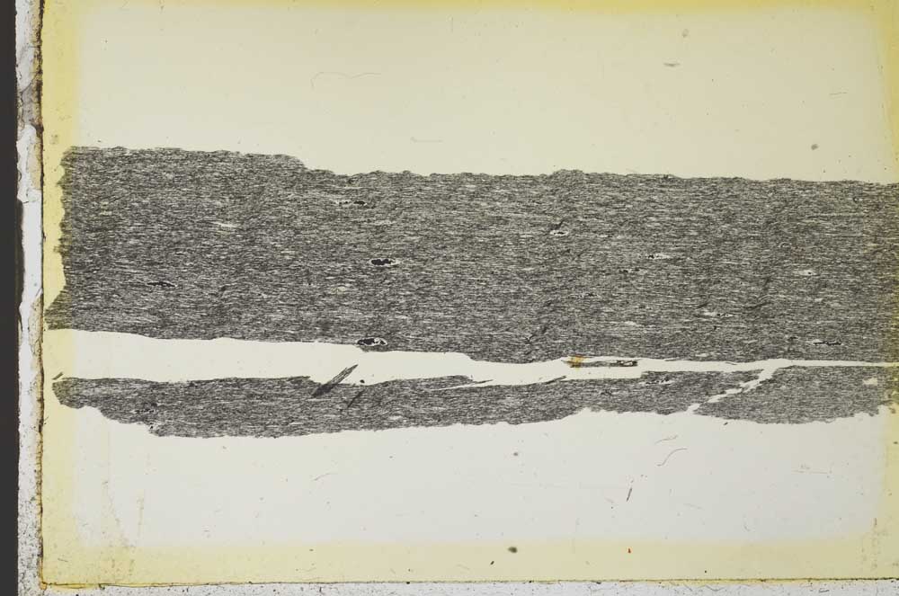 Plane Polarized, S35763