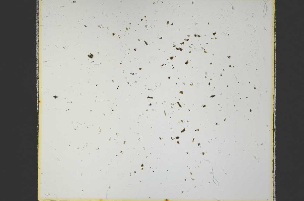 Plane Polarized, S35772/A