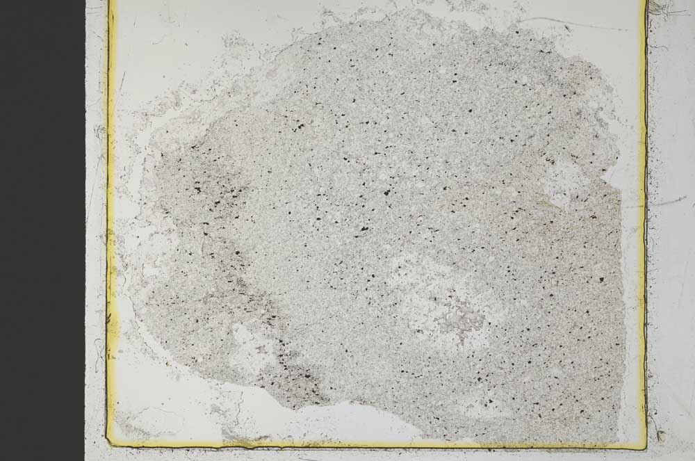 Plane Polarized, S35794