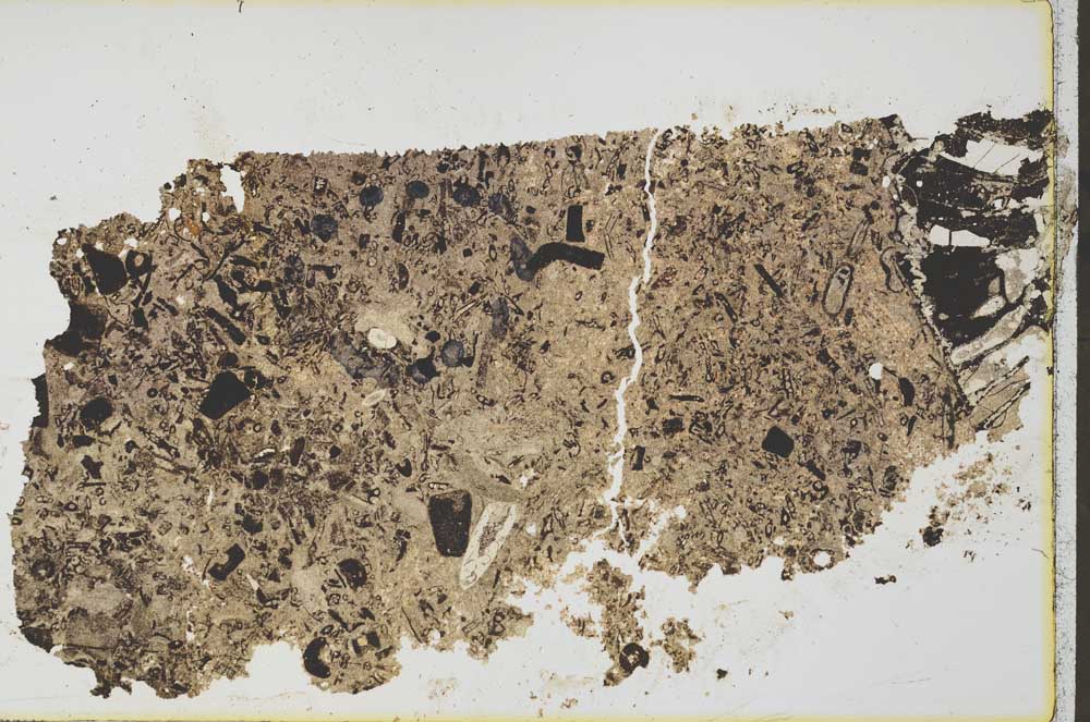 Plane Polarized, S35799/A