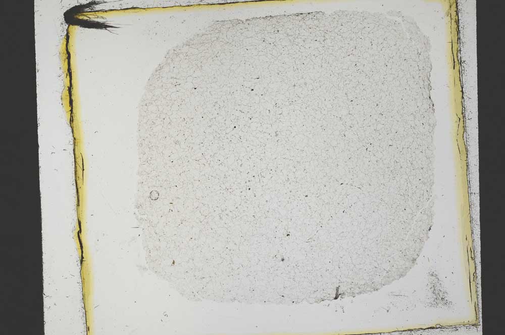 Plane Polarized, S35809