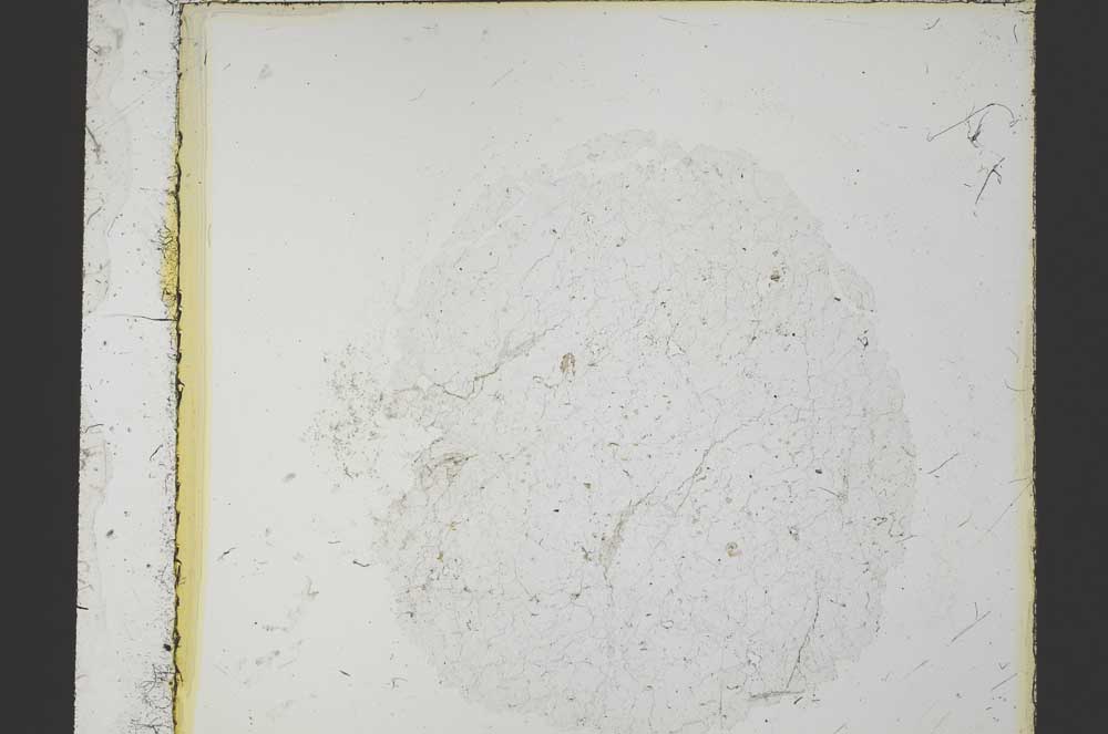 Plane Polarized, S35820