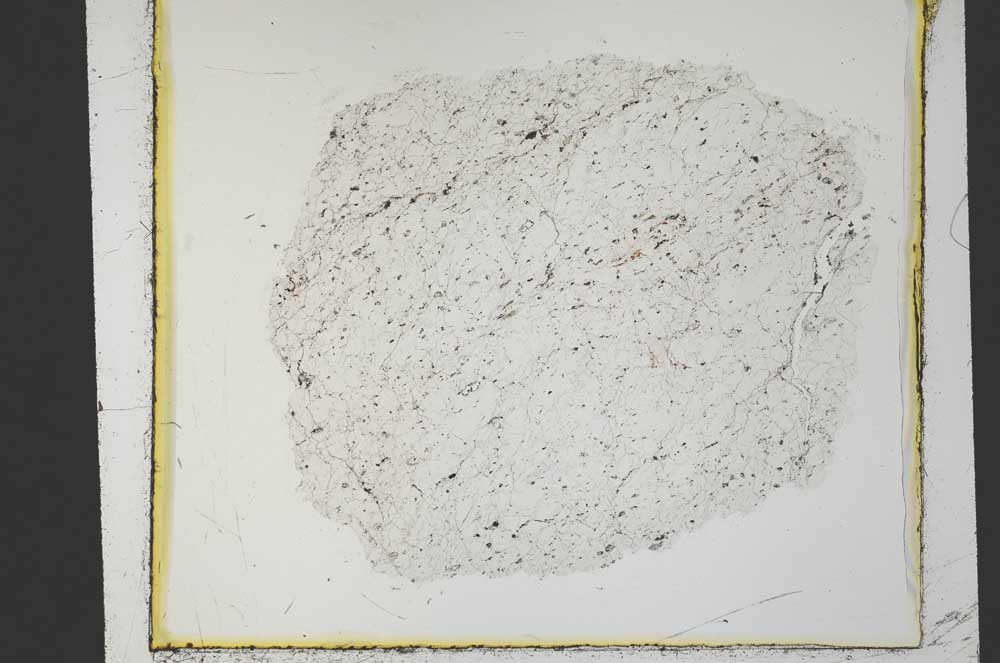 Plane Polarized, S35821