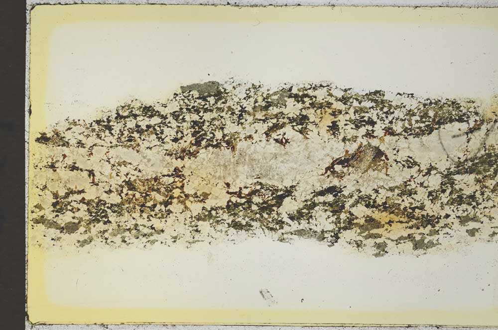 Plane Polarized, S35829