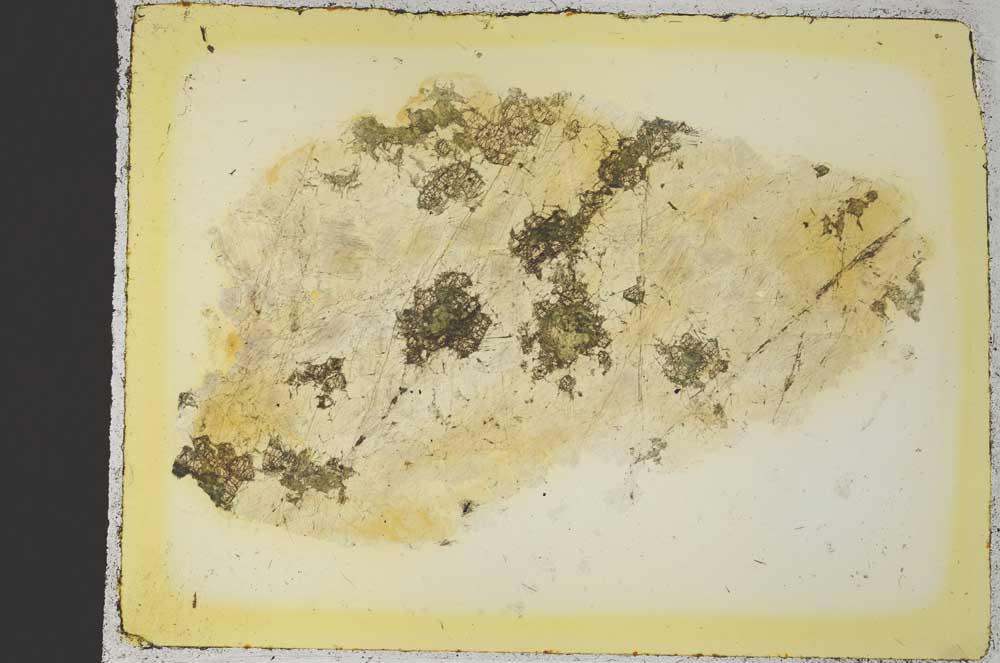 Plane Polarized, S35846