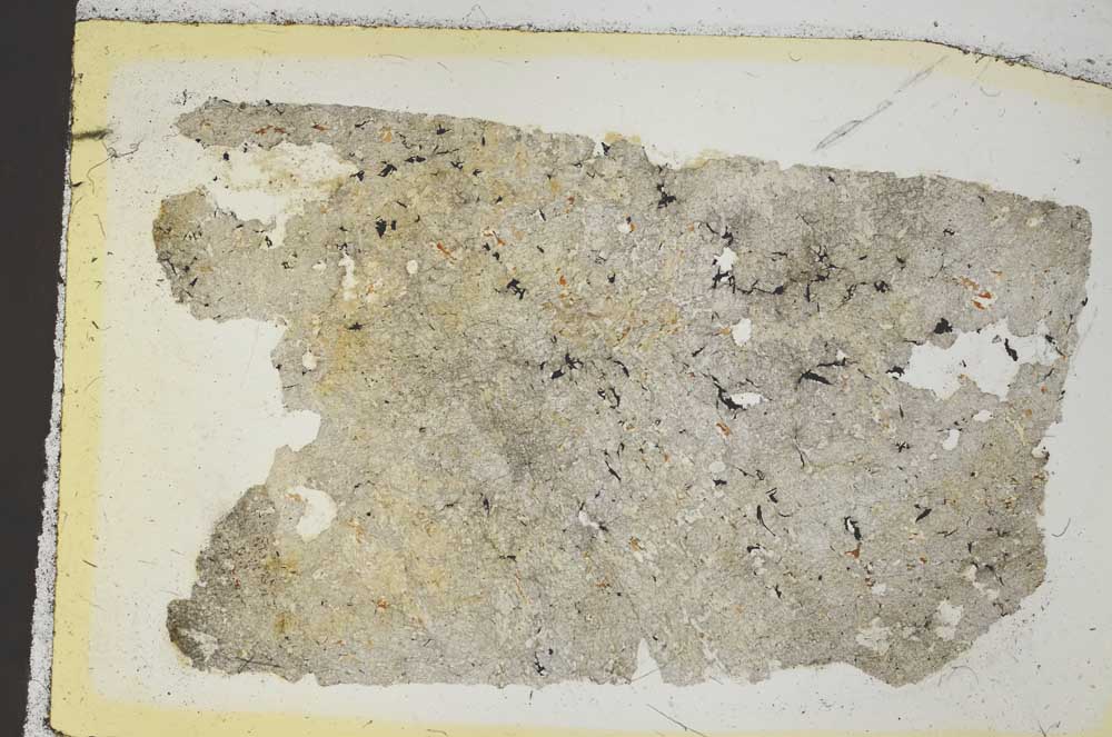 Plane Polarized, S35874