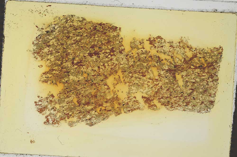 Plane Polarized, S35876