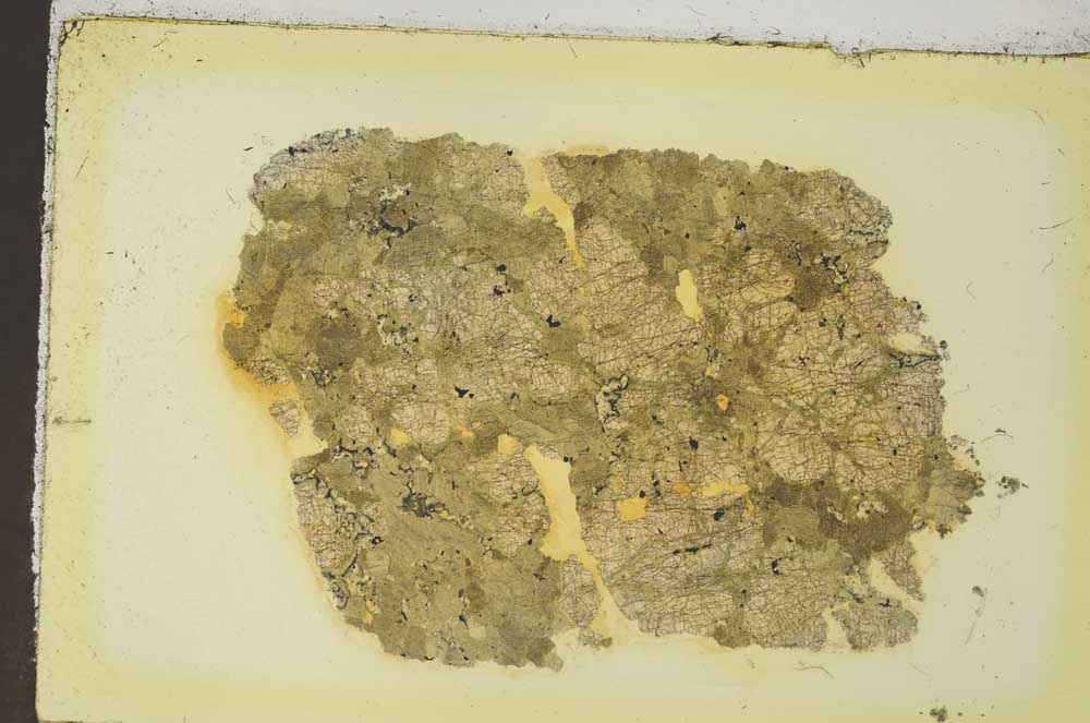 Plane Polarized, S35883