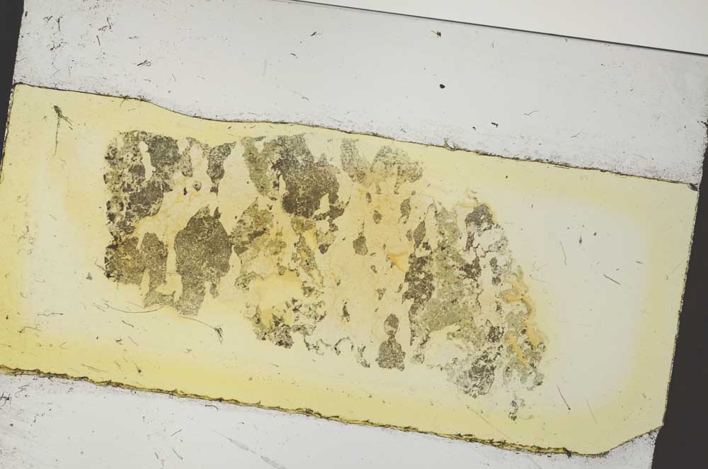 Plane Polarized, S35889