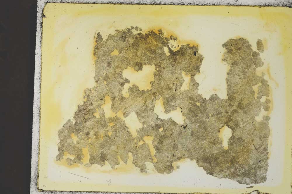 Plane Polarized, S35890