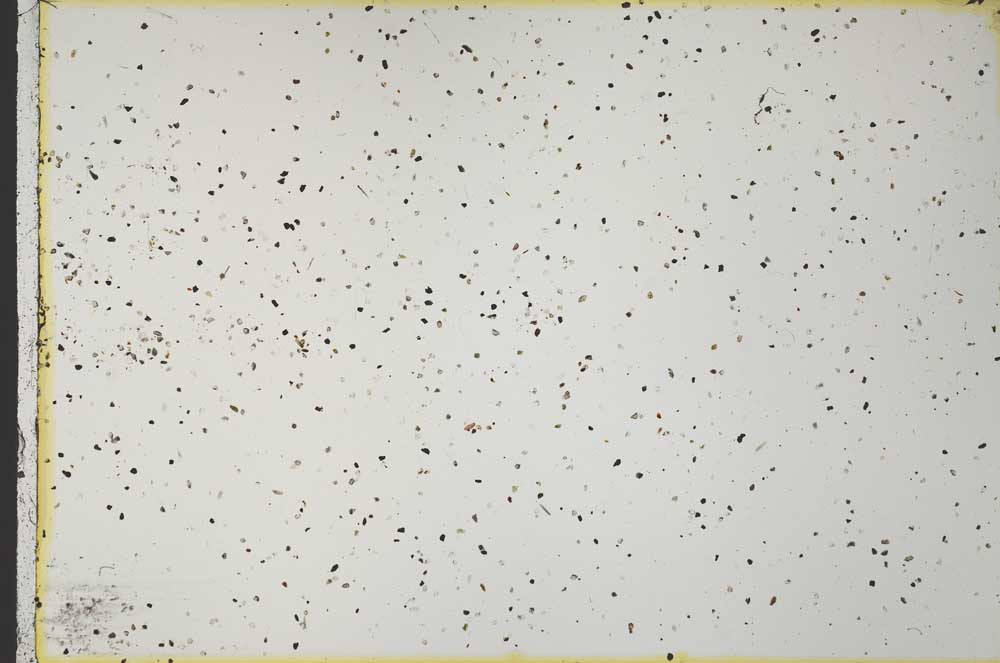 Plane Polarized, S35907/A