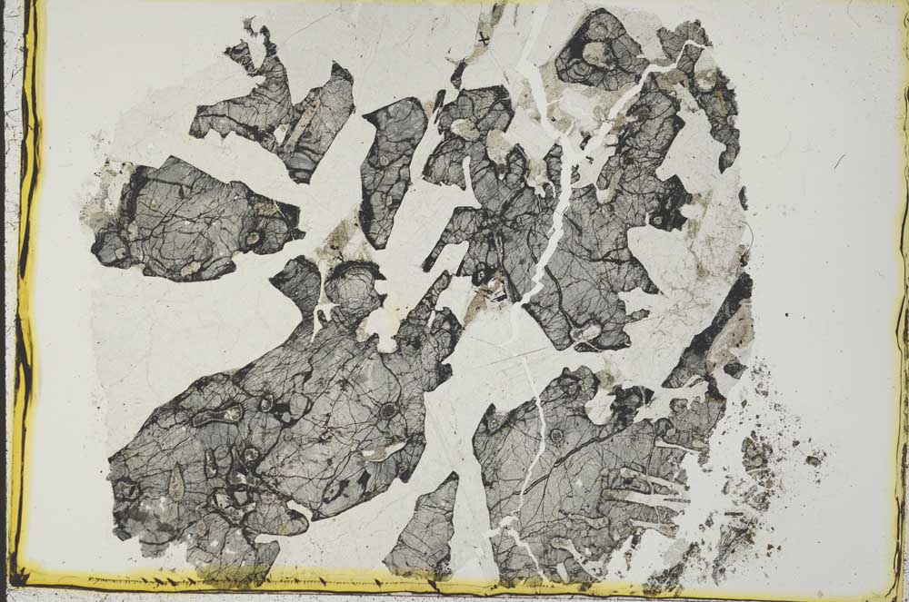 Plane Polarized, S35913