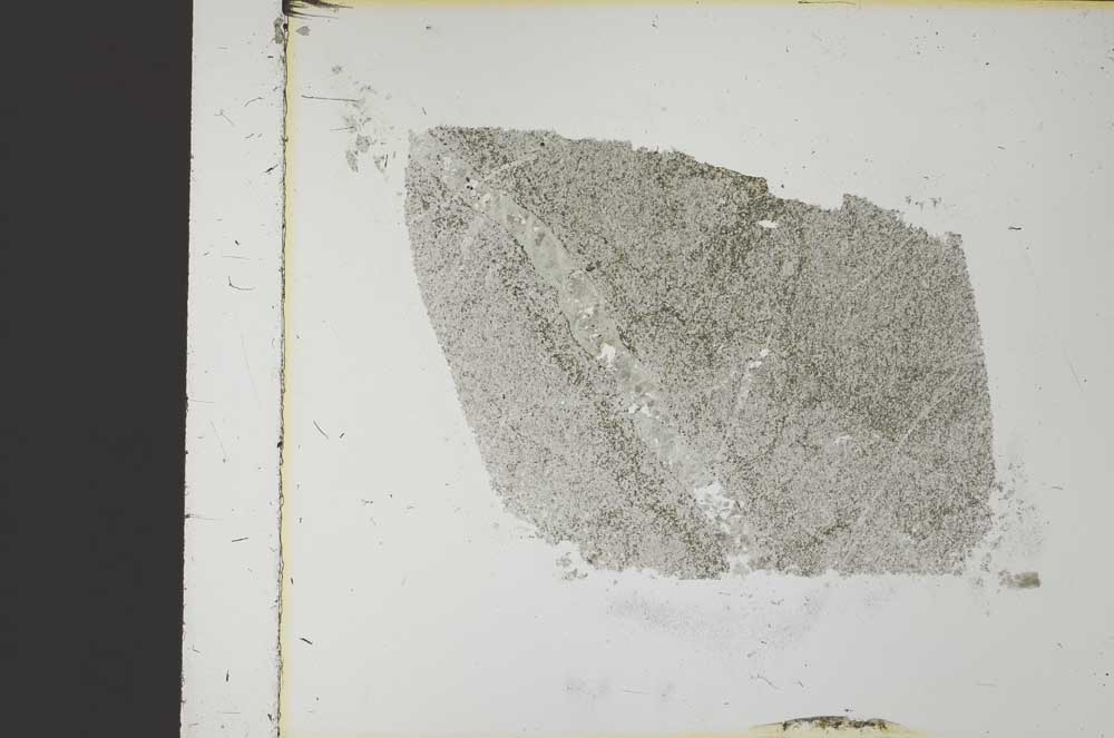Plane Polarized, S35925