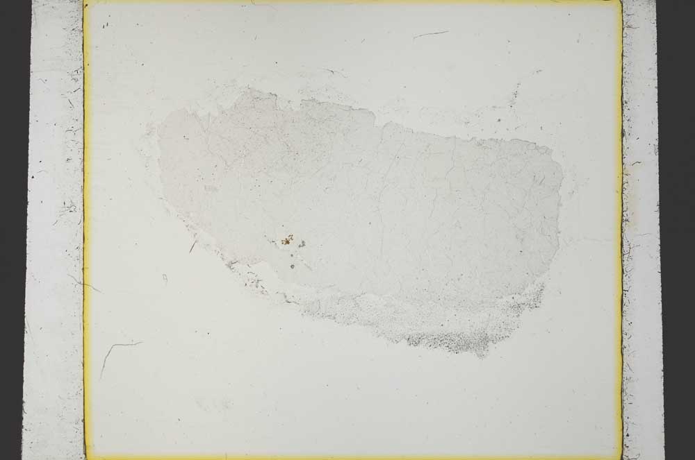 Plane Polarized, S35955