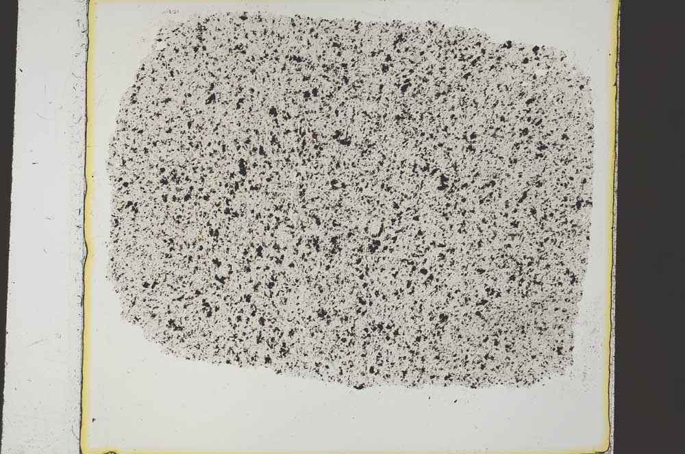 Plane Polarized, S35957