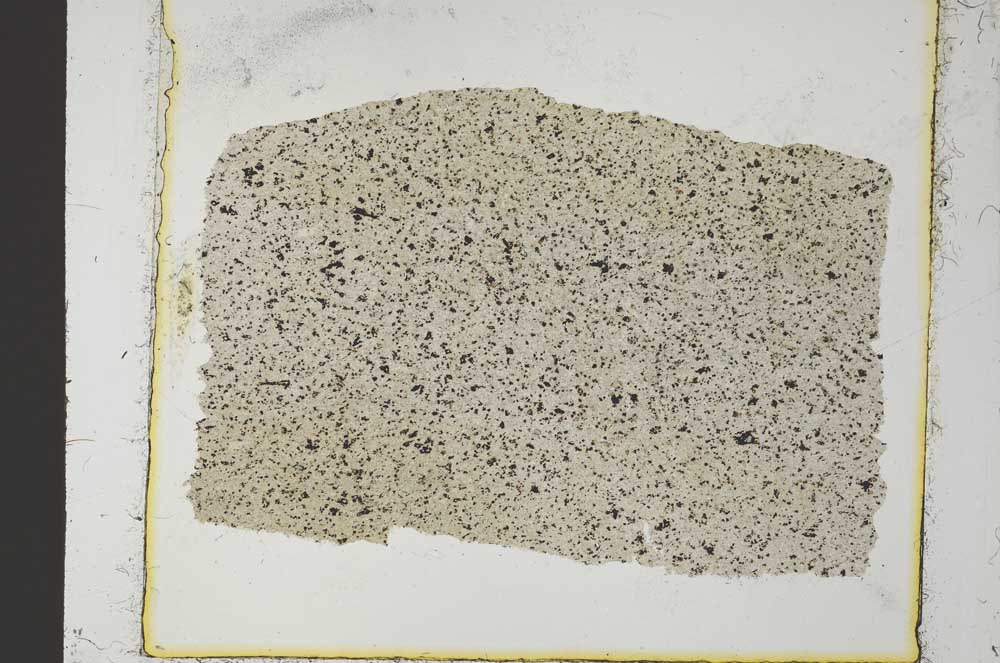 Plane Polarized, S35959