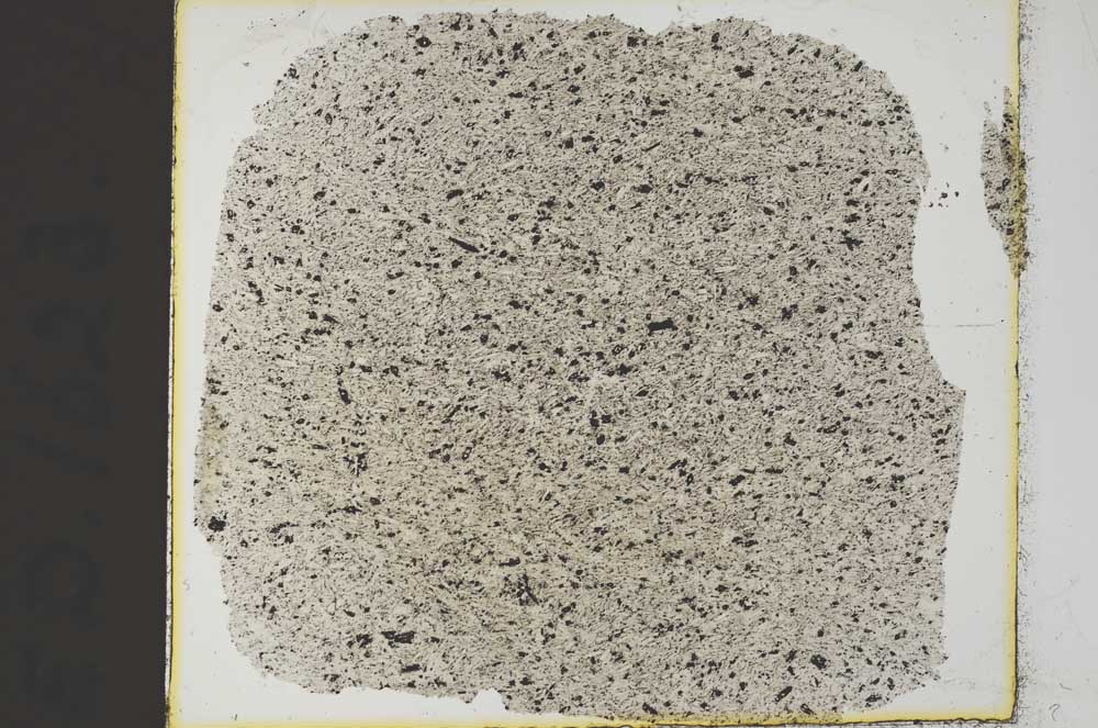 Plane Polarized, S35960
