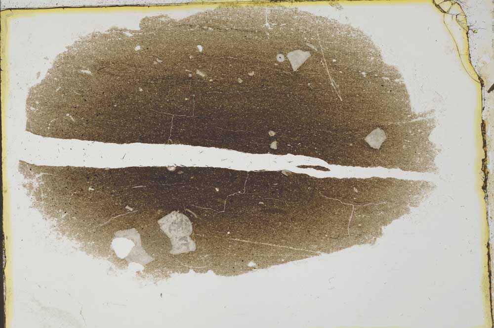 Plane Polarized, S35981