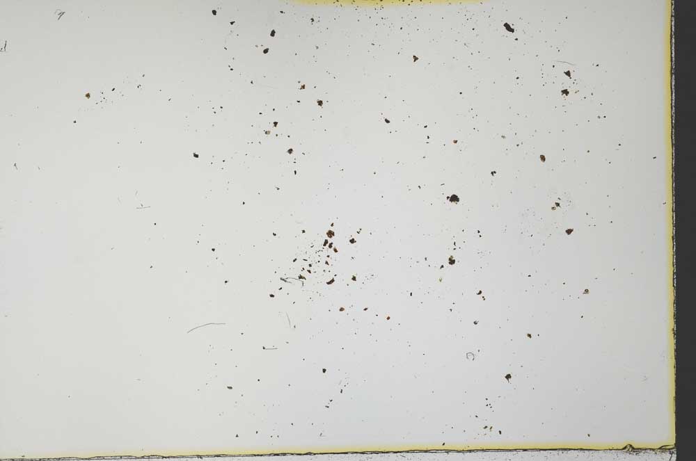 Plane Polarized, S35985/A