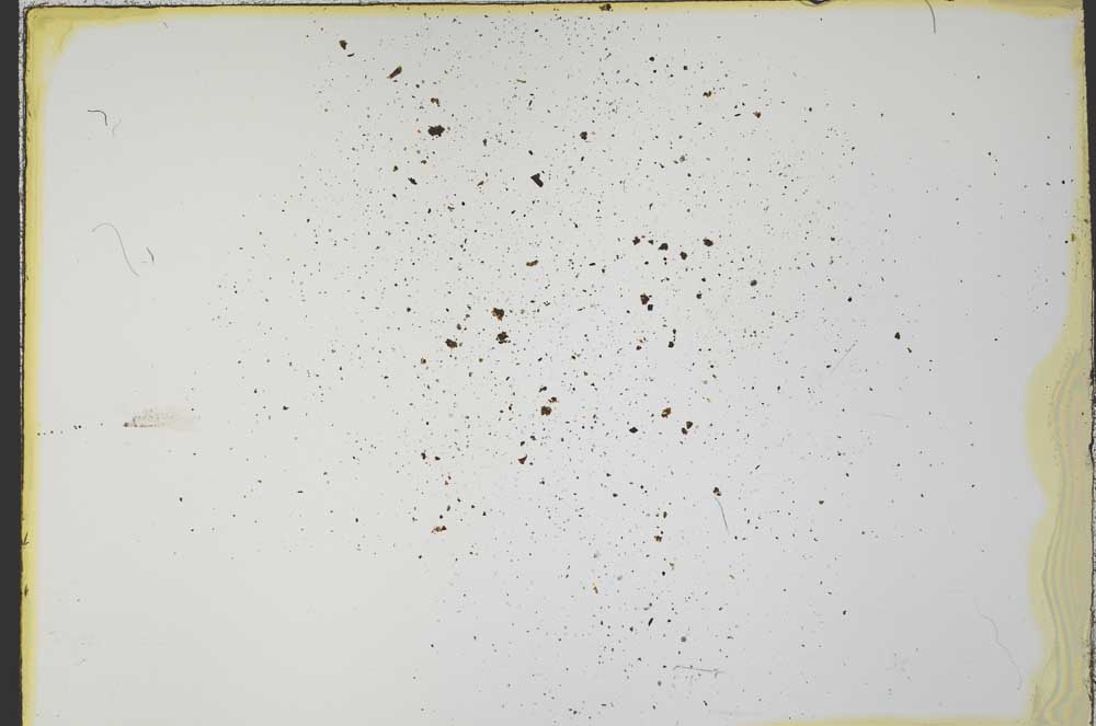 Plane Polarized, S35985/B