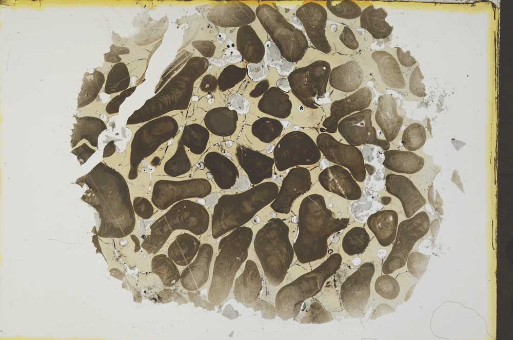 Plane Polarized, S35987