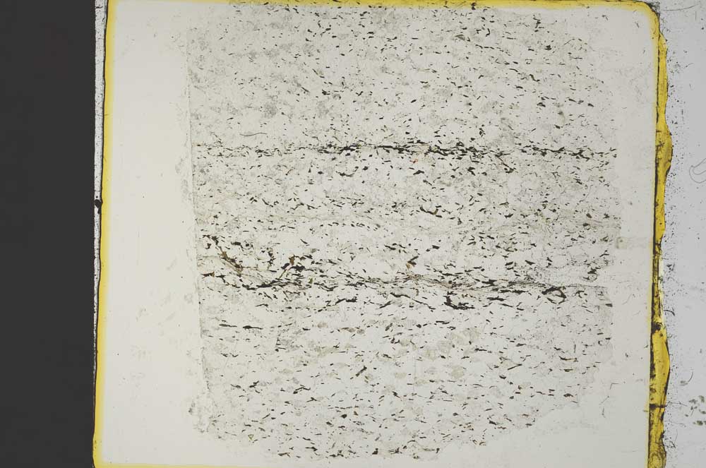 Plane Polarized, S35997