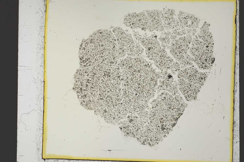 Plane Polarized, S35999