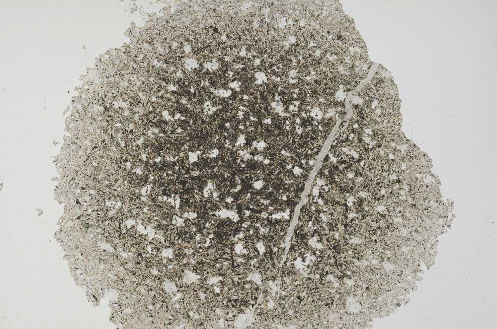 Plane Polarized, S36073/A